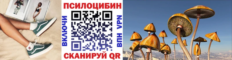 Купить где  Приозерск  Галлюциногенные грибы мухоморы 
