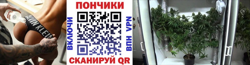 Купить  Приозерск  Шишки марихуана марихуана 